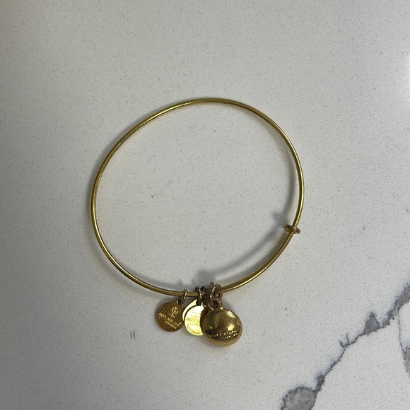 ALEX AND ANI - ADJUSTABLE JULY RUBY CHARM BANGLE - Picture 2 of 2